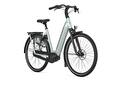 Gazelle Grenoble C8  Light olive S8