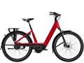 Charter+ 4 ENV B 800 LS L Fury Red