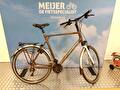 Multicycle Expressive