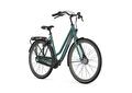 ESPRIT L54 Thyme green T3 (M)
