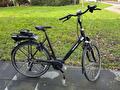 Batavus Fuze E-Go Active Plus