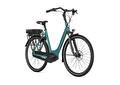 PARIS C7+ HMB DISC L53 Thyme green S7 (Mat)