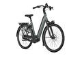 Gazelle Grenoble  C8+ Twilight green  (Mat)