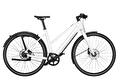 Riese & Muller UBN Seven Silent