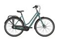 Gazelle ESPRIT L Thyme green