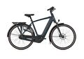 Gazelle Grenoble  C8 Between blue S8 
