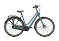 ESPRIT L49 Thyme green T3 (M)