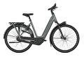 Gazelle Grenoble  C8+ Twilight green  (Mat)