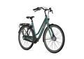 Gazelle ESPRIT  Thyme green 