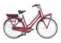 MISS GRACE C7 HMB L49 Coral red H7